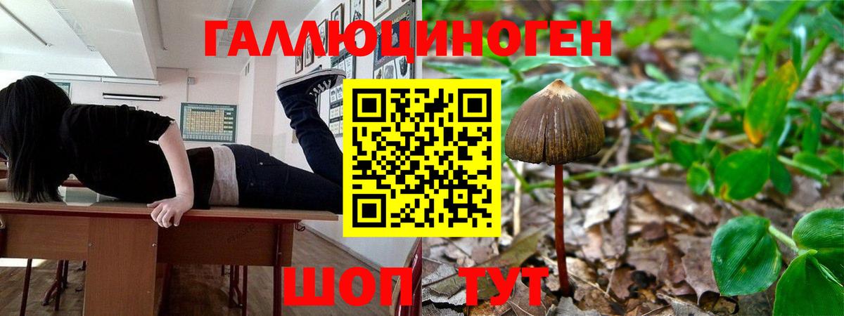наркота  Псилоцибиновые грибы Magic Shrooms  Псилоцибиновые грибы мицелий  Вход с VPN  Минеральные Воды 